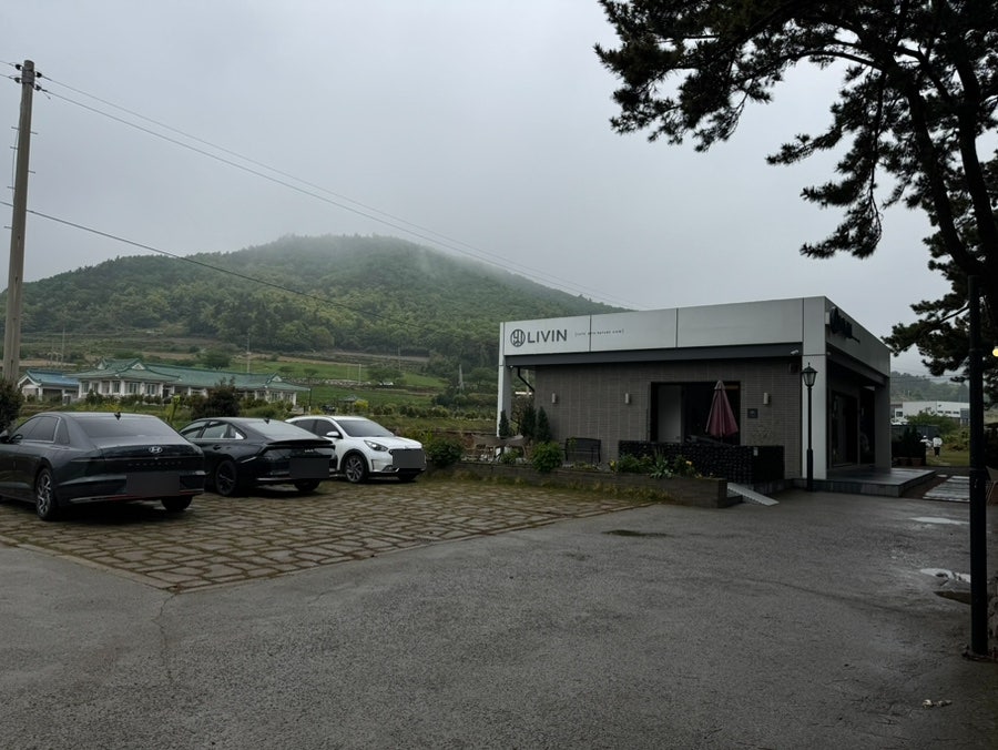 리빈 사진 3