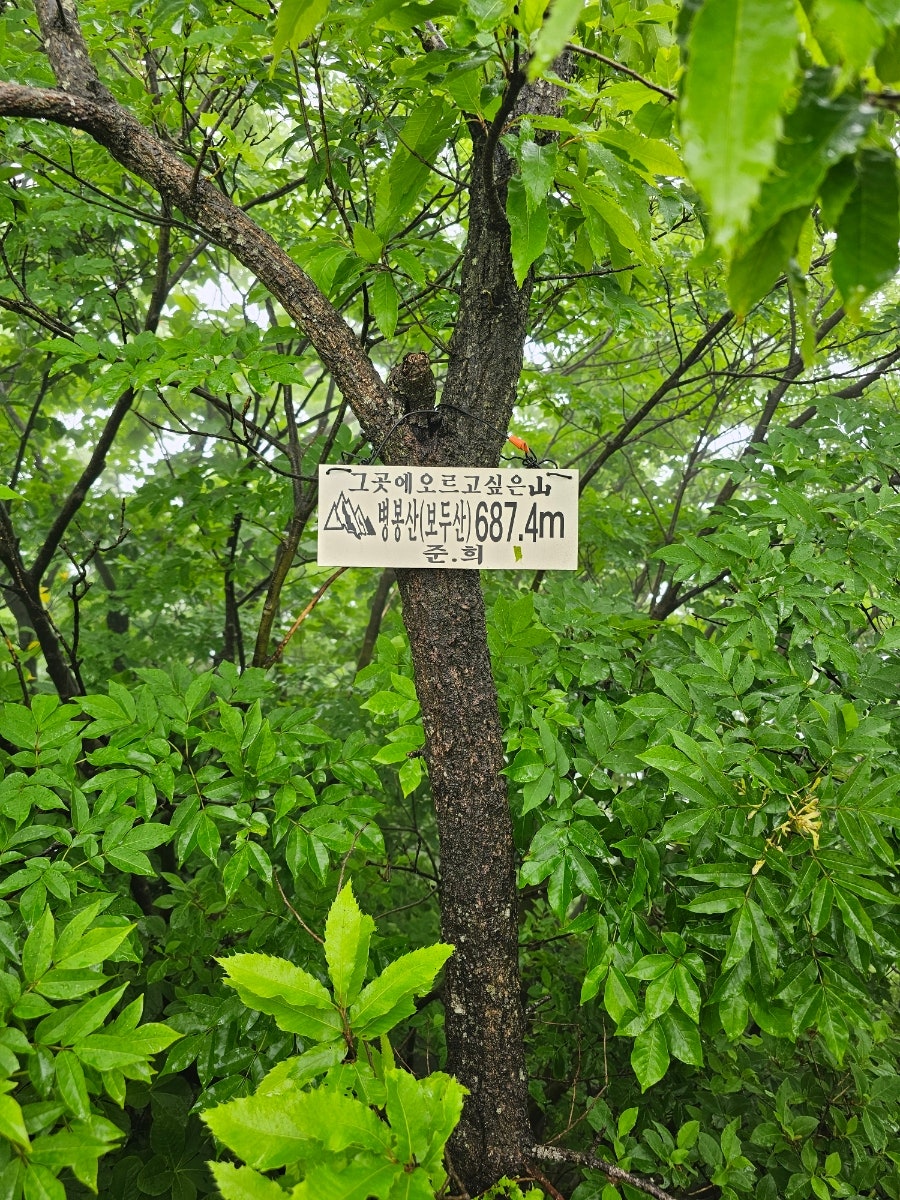 보두산 사진 6