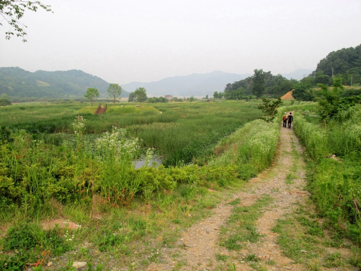  청주 문의 대청호오백리길 20구간, 노현리에서 미천리로 이어지는 호반 산책