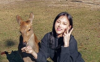  [오사카] 나라 공원 & 우지 1일 국립공원 투어 - 자연과 함께하는 힐링 여행