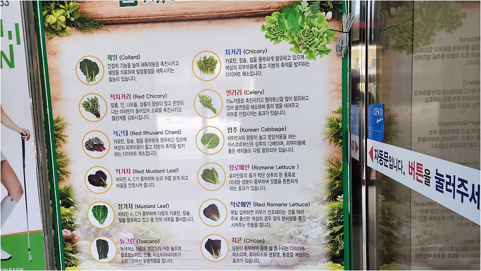수라상쌈밥 사진 2