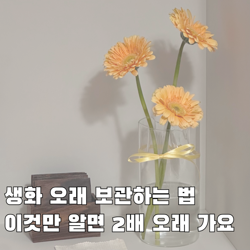 생화 오래 보관하는 법, 오늘 받은 꽃 오래 살리고 싶어서 바로 찾아봤습니다