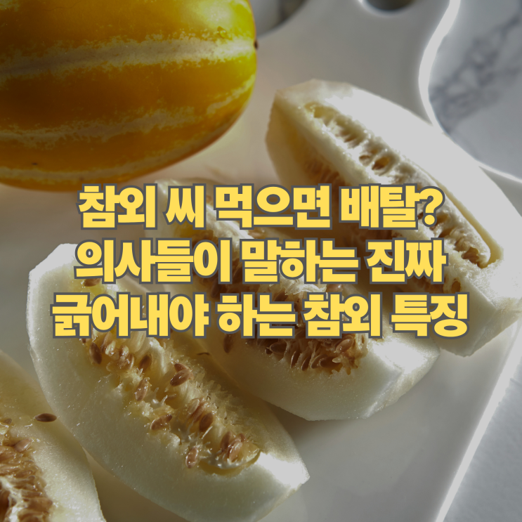  참외 씨 먹으면 배탈 난다는 말의 진실, 의사들이 말하는 진짜 긁어내고 먹어야 하는 참외