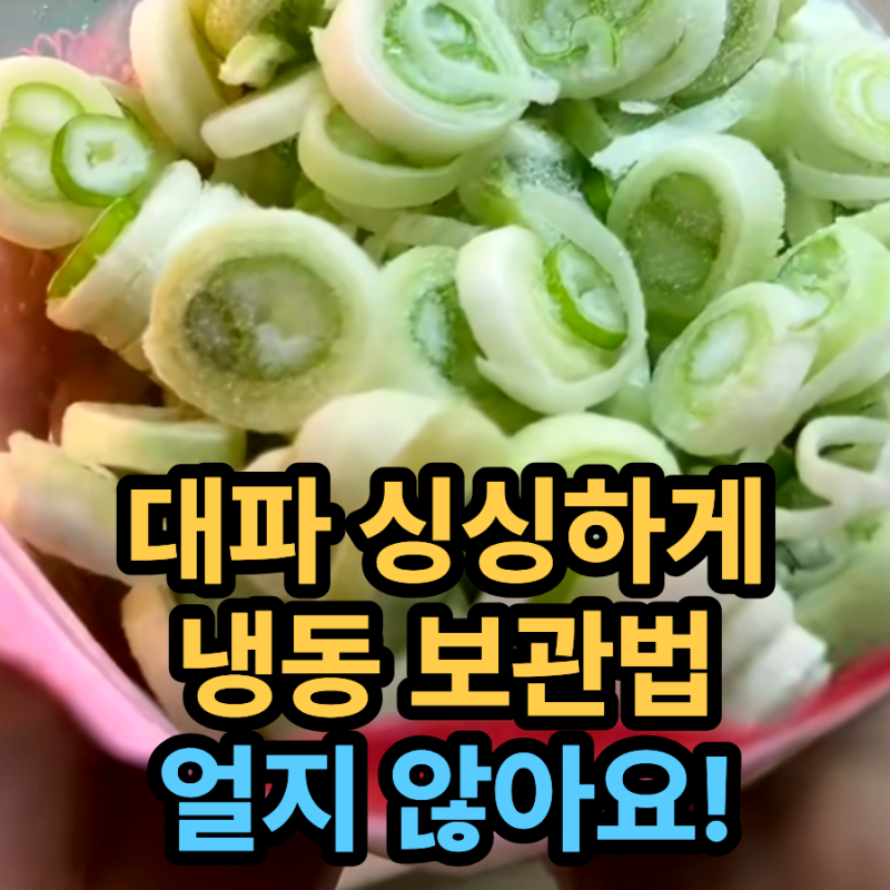 대파 이렇게 보관했더니 몇달째 싱싱