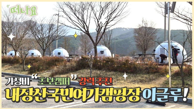 초보 캠퍼 가성비 *추천 정읍시 내장산 국민여가캠핑장(feat. 이지돔하우스)