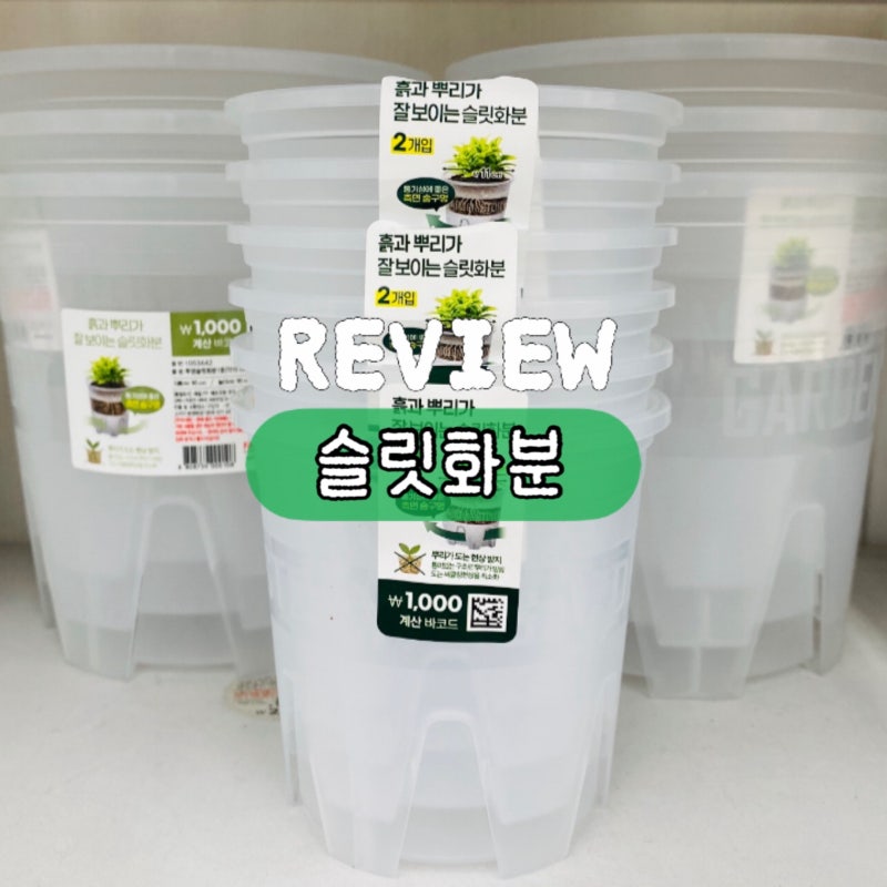 다이소 식물 과습방지 화분 슬릿화분, 색상 사이즈 사용후기