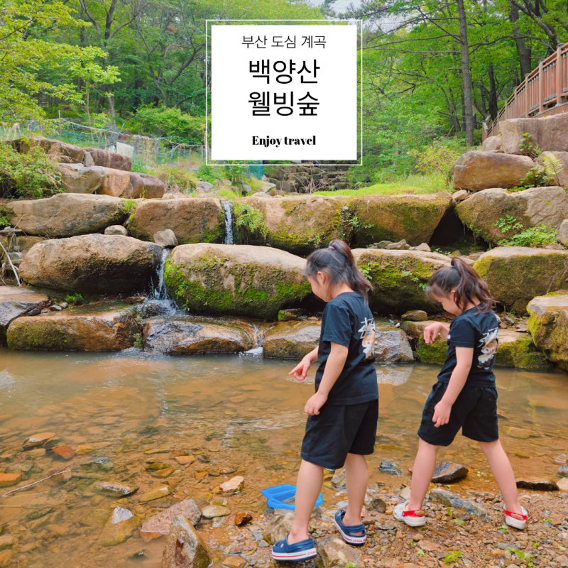 부산계곡 가재잡기 가능한 운수사계곡과 숲놀이터 백양산웰빙숲