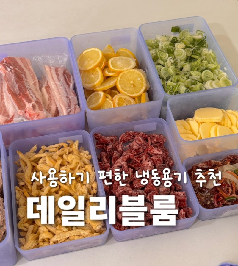 냉동밀폐용기 추천, 실리쿡/데일리블룸 장.단점 비교_내돈내산