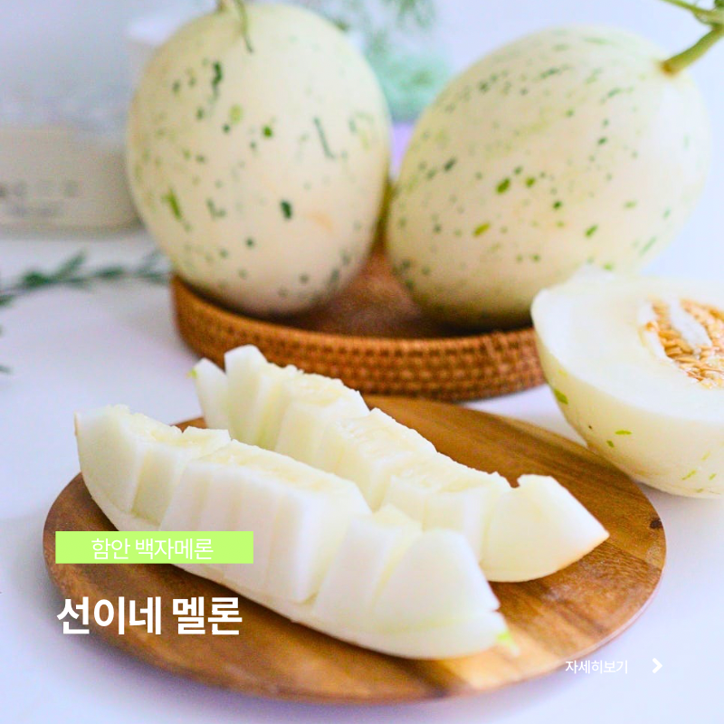 함안백자메론 달콤한 선이네멜론 백자 멜론 먹어봤어요