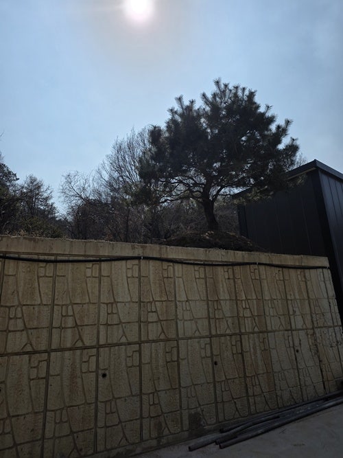 죽산낚시펜션 사진 4