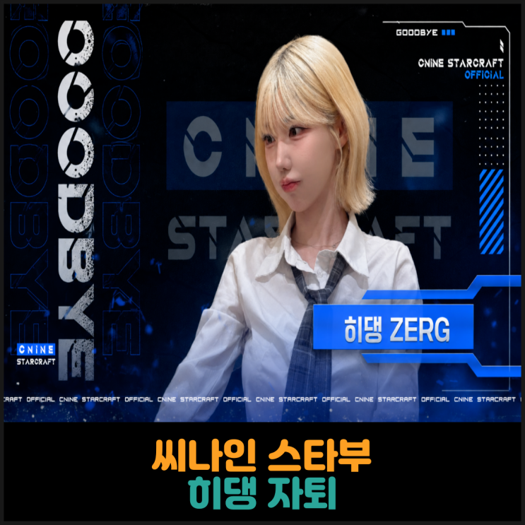  씨나인 스타부 히댕 자퇴
