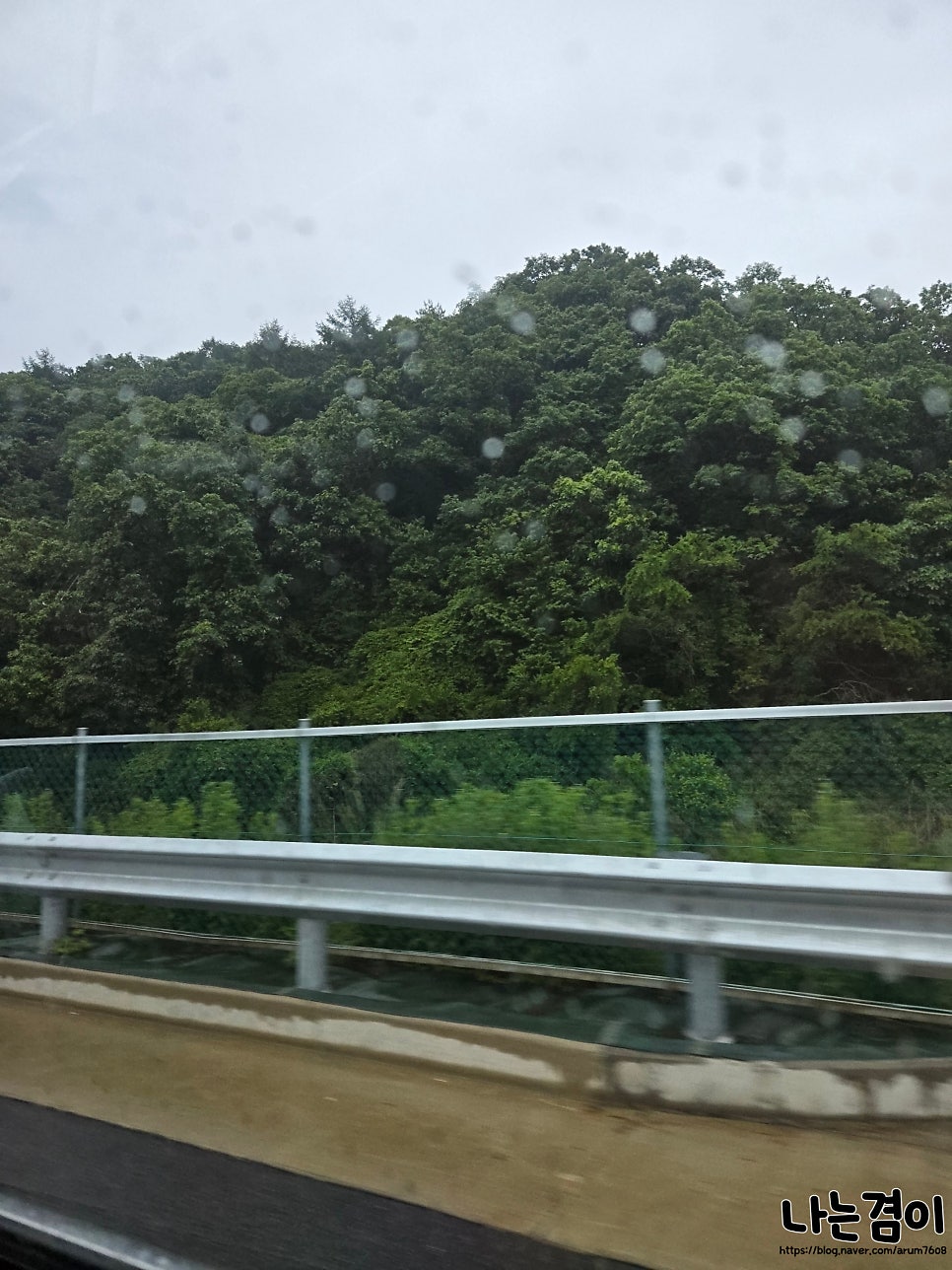 신탄더덕오리 사진 2