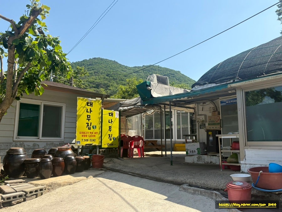 대나무집 넘이네 사진 1
