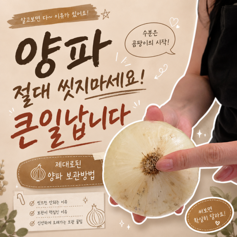 절대 씻지 마세요! 제대로 된 양파 보관방법