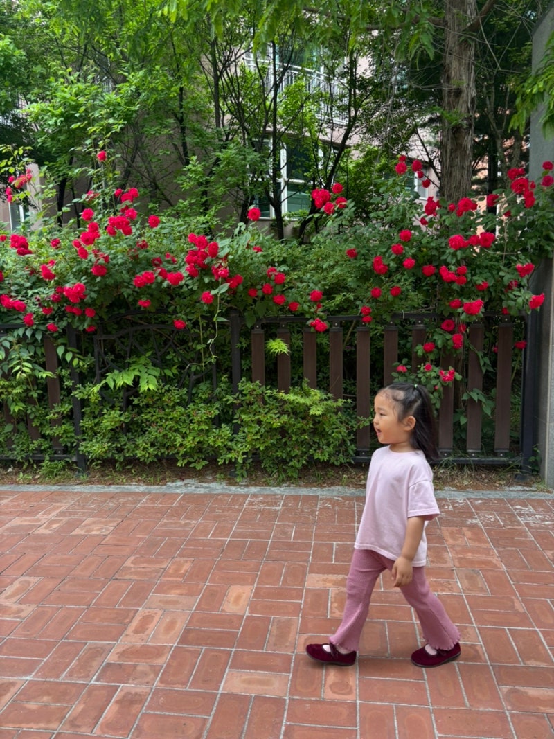 소예 26 Spring 보머골지가디건, 콤브팬츠 사이즈 M 후기
