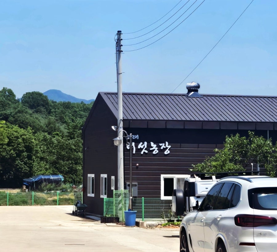 소래버섯나라 용진직영점 사진 4