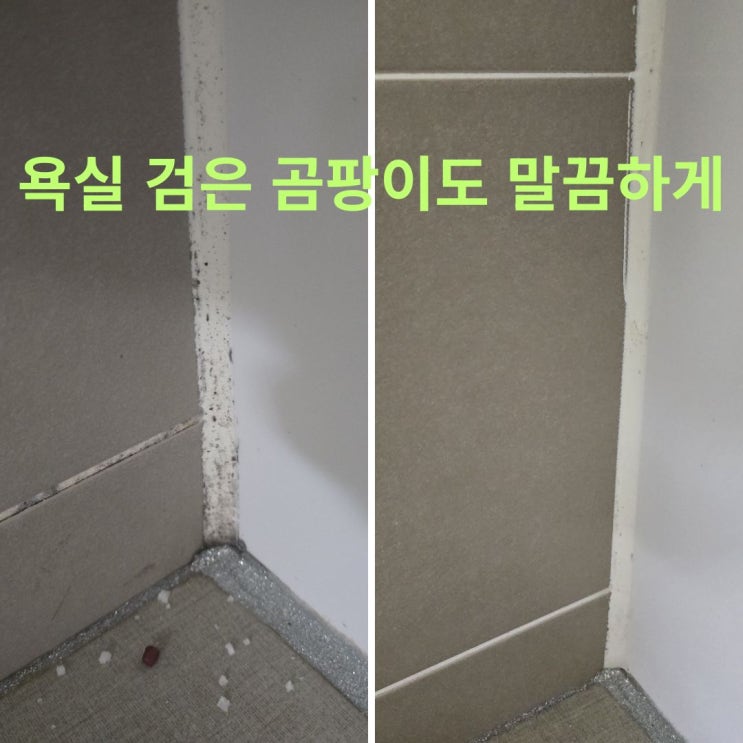  서면DS협성엘리시안 입주청소, 욕실 곰팡이까지 꼼꼼하게