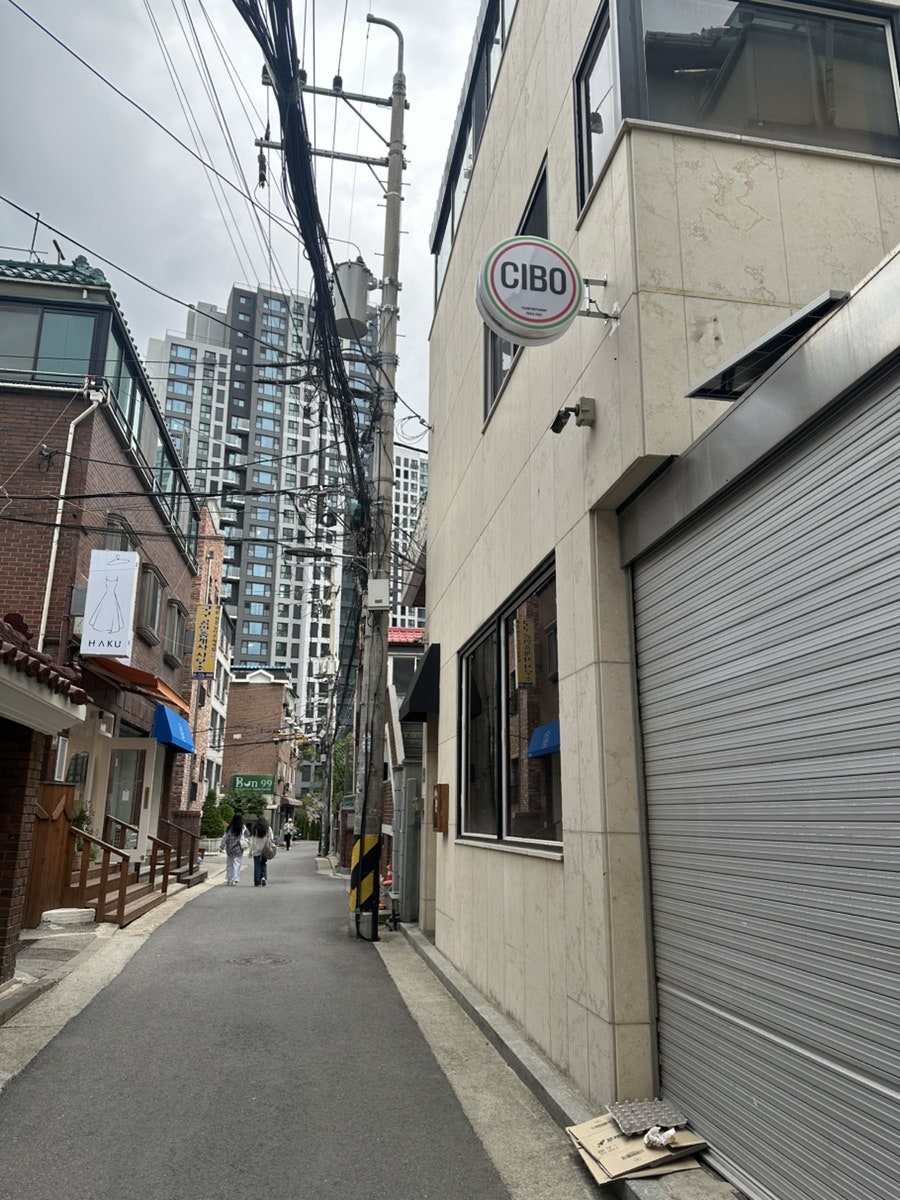 치보 사진 1
