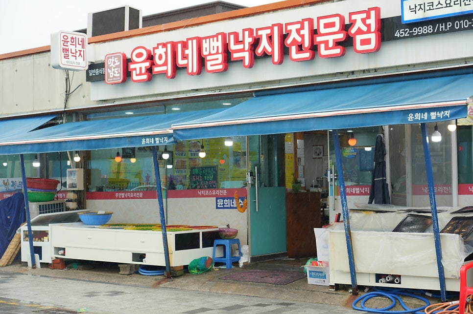 윤희네뻘낙지전문점 사진 1