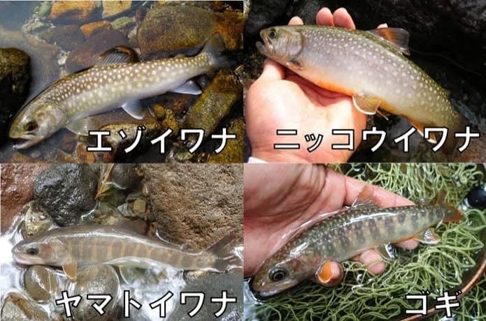 소양강양어장횟집 사진 5