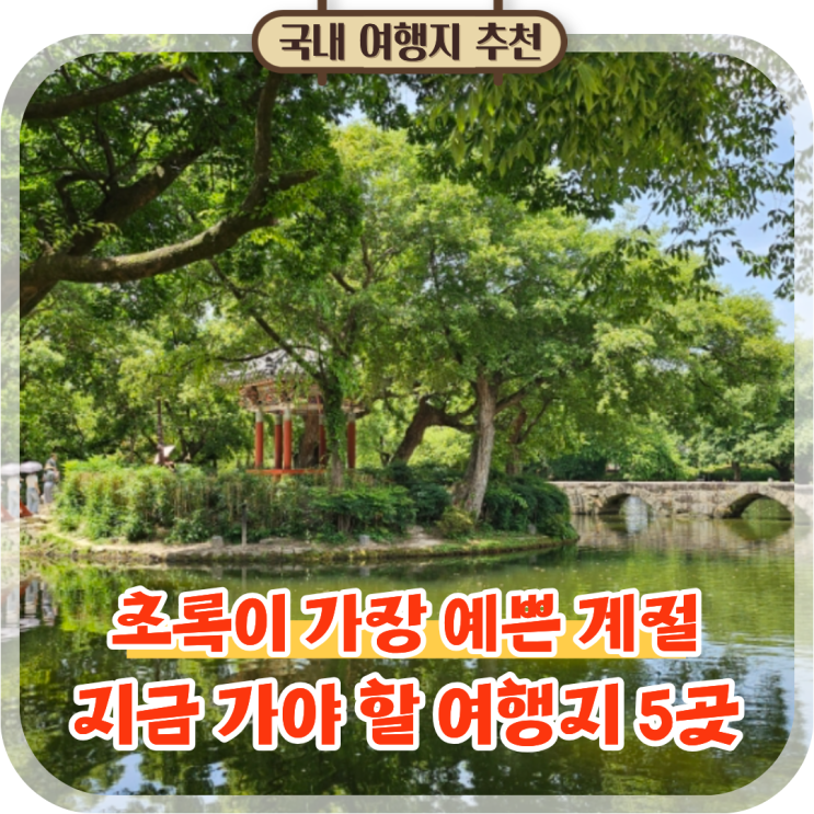  초록뷰 미쳤다는 국내 여행지 지금 가면 가장 예쁜 곳 TOP 5