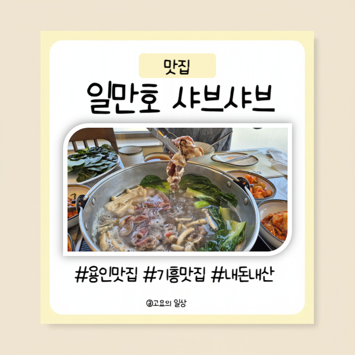 일만호백합샤브샤브 사진 1