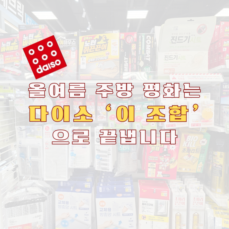  막고 잡으면 끝! 다이소 초파리 철벽 방어 2가지 방법