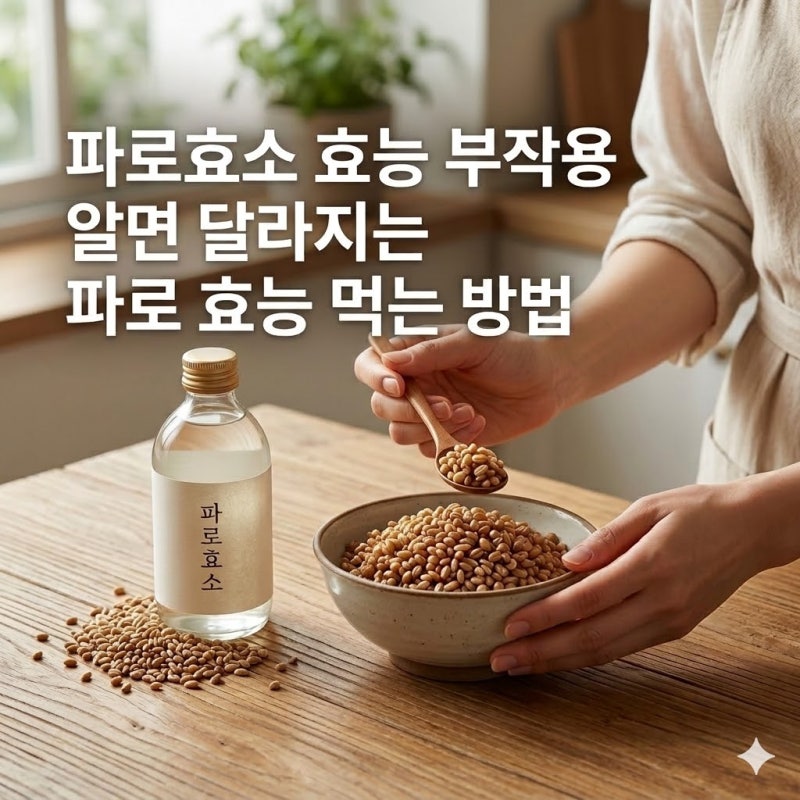 파로효소 효능 부작용 알면 달라지는 파로 효능 먹는 방법
