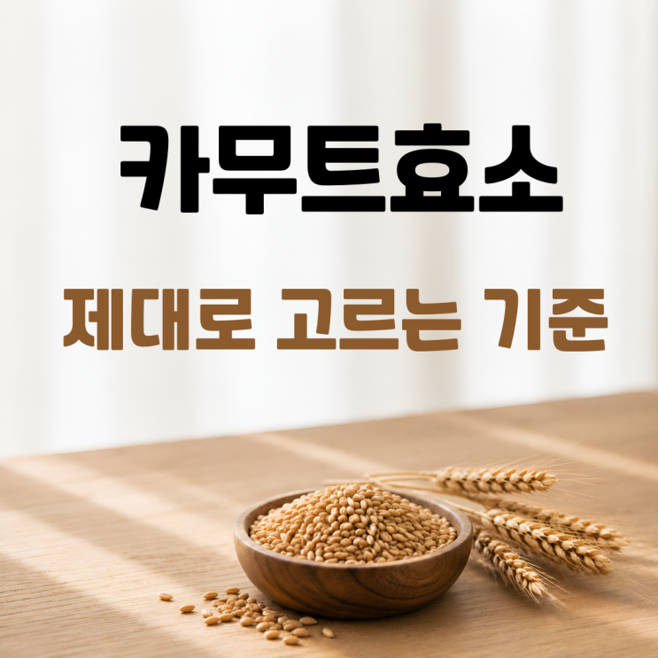  카무트효소 효능 역가수치 비교 고르는 기준 총정리