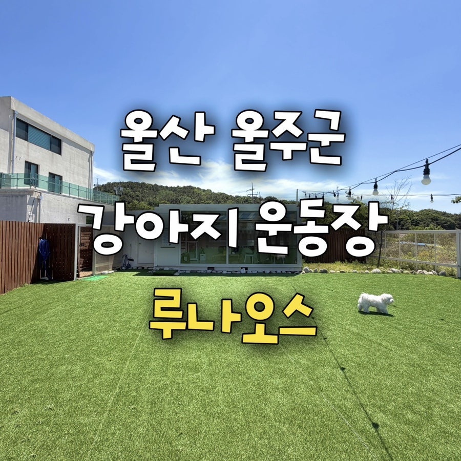루나오스 사진 1