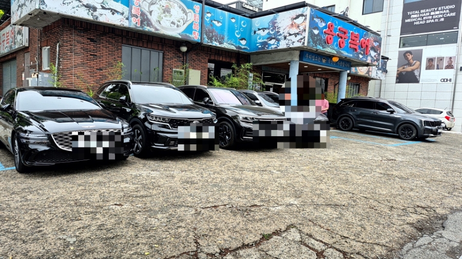 용궁복어 사진 2