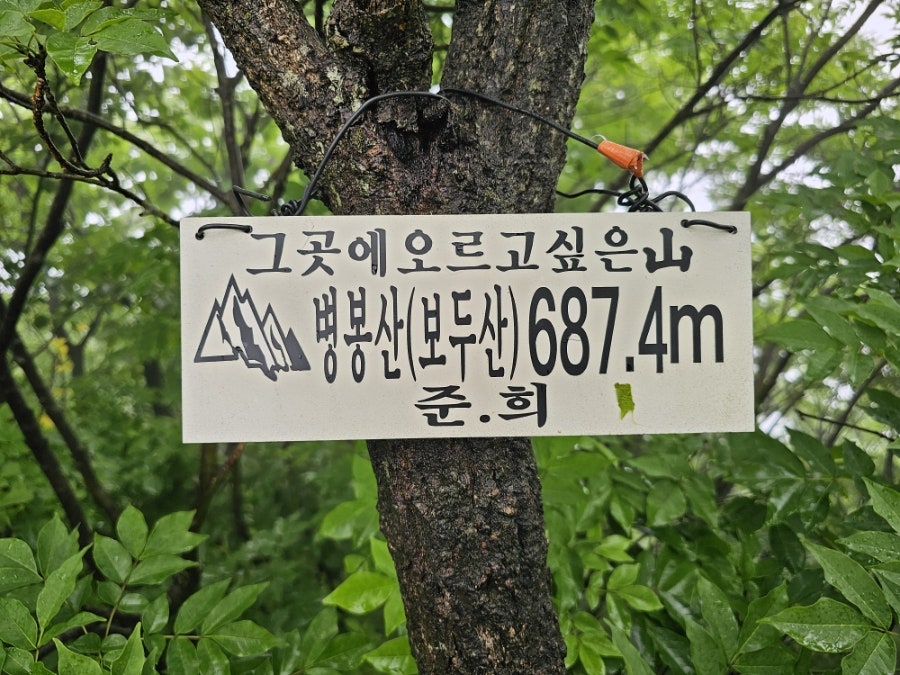 보두산 사진 5