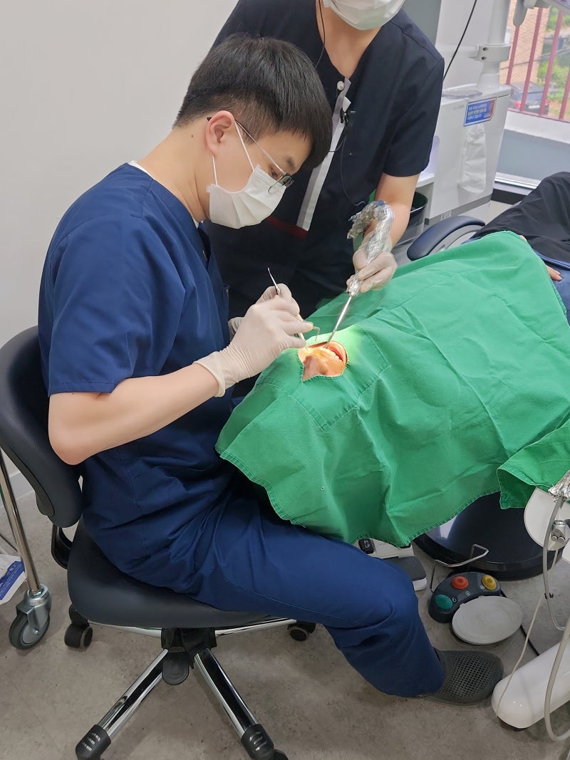 주말에도 치과 치료가 가능할까요? 의정부치과토요일진료 기준 정리