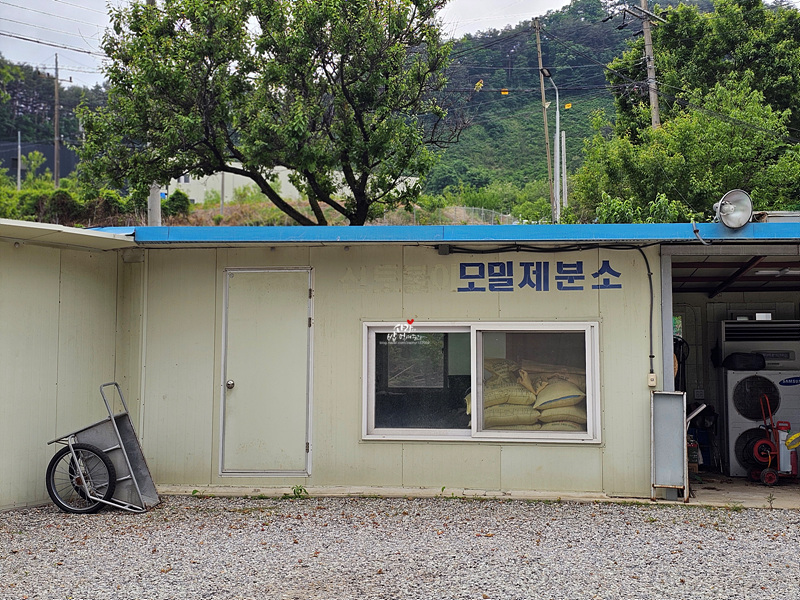 전씨네막국수 사진 2