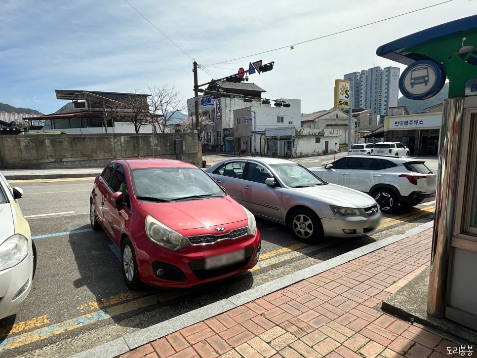 아리수 사진 2