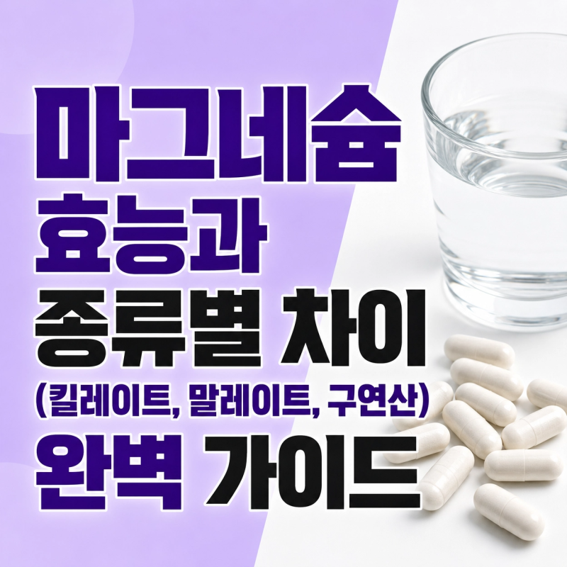 마그네슘 효능과 종류별 차이 (킬레이트, 말레이트, 구연산) 완벽 가이드