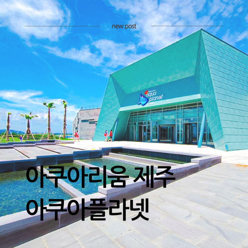 아쿠아리움 제주 한화 아쿠아플라넷 완벽 정리 입장료,운영시간,내외부까지 한 번에