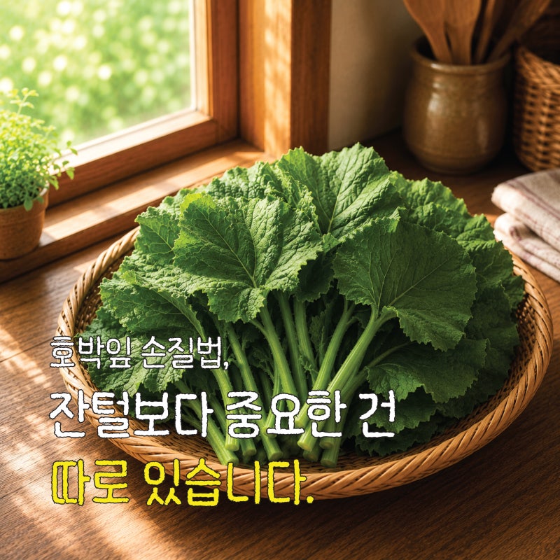 호박잎 손질법, 잔털보다 중요한 건 따로 있습니다 (찌는 시간·보관법·효능)