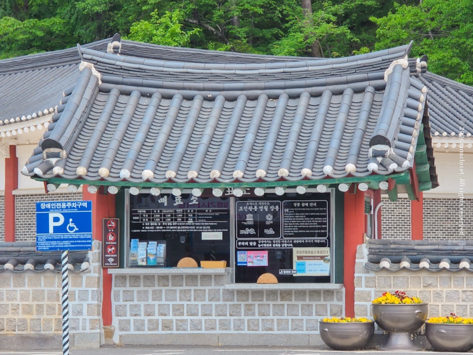 장릉본가오리 사진 2