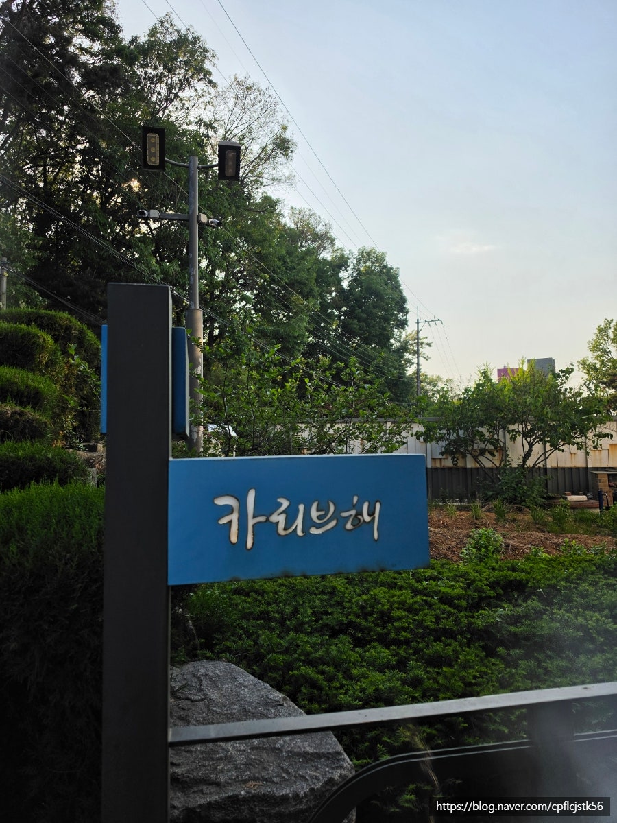 카리브해 사진 5