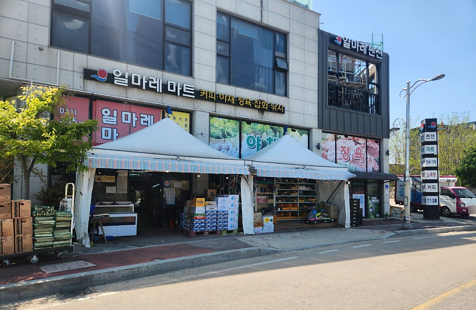 일마레 사진 3