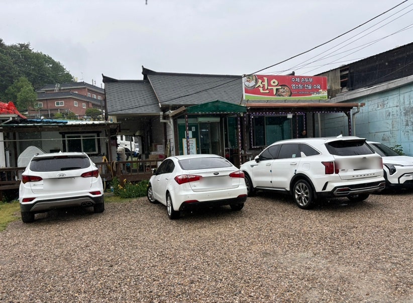 선우 사진 1