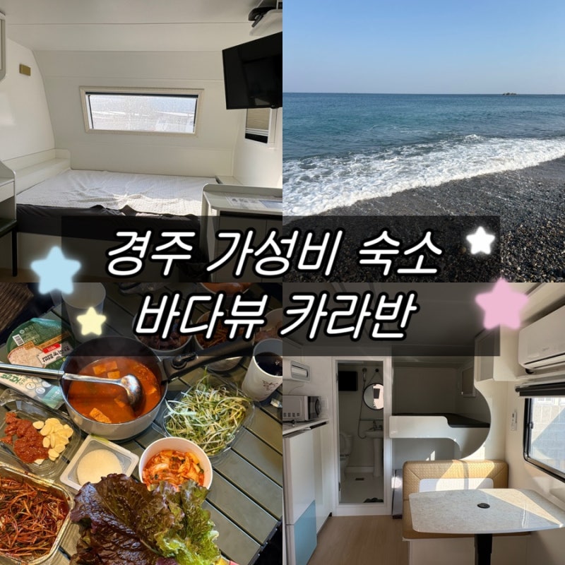 [경주] 감포 애견동반 가능한 가성비 숙소 @ 바다뷰 '감포 송아카라반' 상세한 솔직 후기
