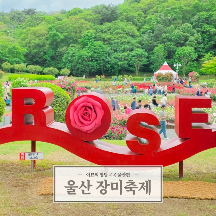 울산대공원 장미원 <b>장미축제</b> 2026 실시간 개화상황 가수... 