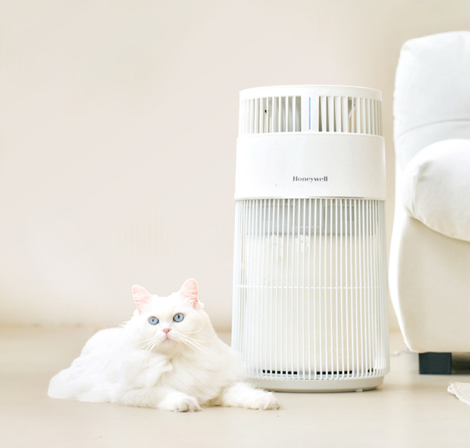  고양이 공기청정기 추천 | 털·냄새·알레르기 한 번에 해결한 후기