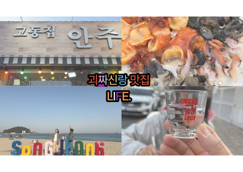 부산 송정해수욕장 노포 야장 횟집 맛집. 고동집 안주마을.