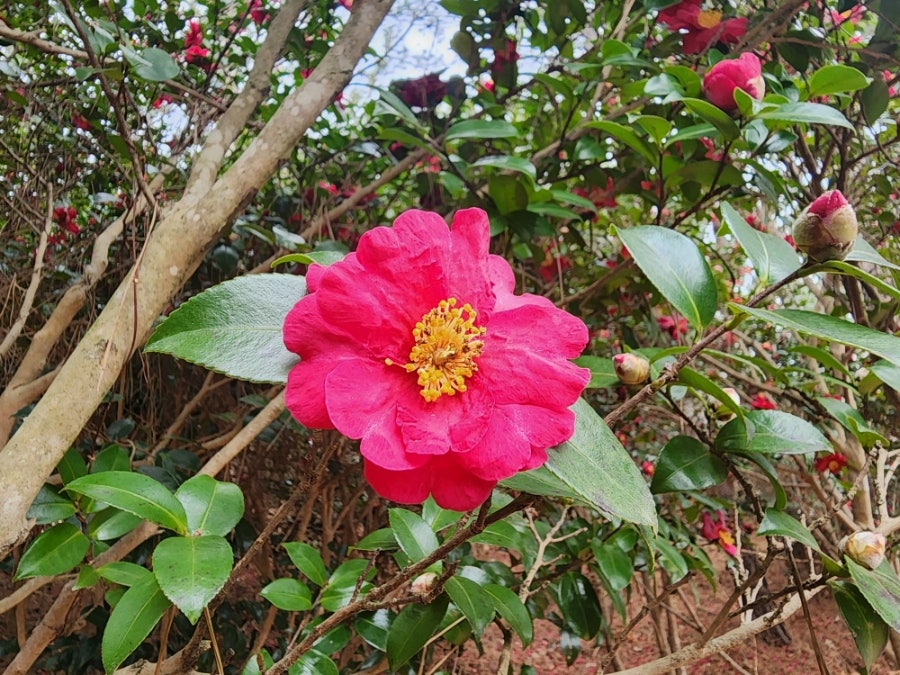 우가 사진 2