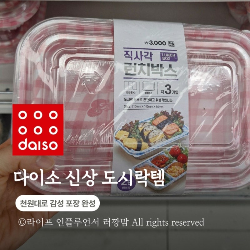 다이소 일회용 도시락통 추천, 소풍·피크닉 갈 때 챙기기 좋은 가성비 용기
