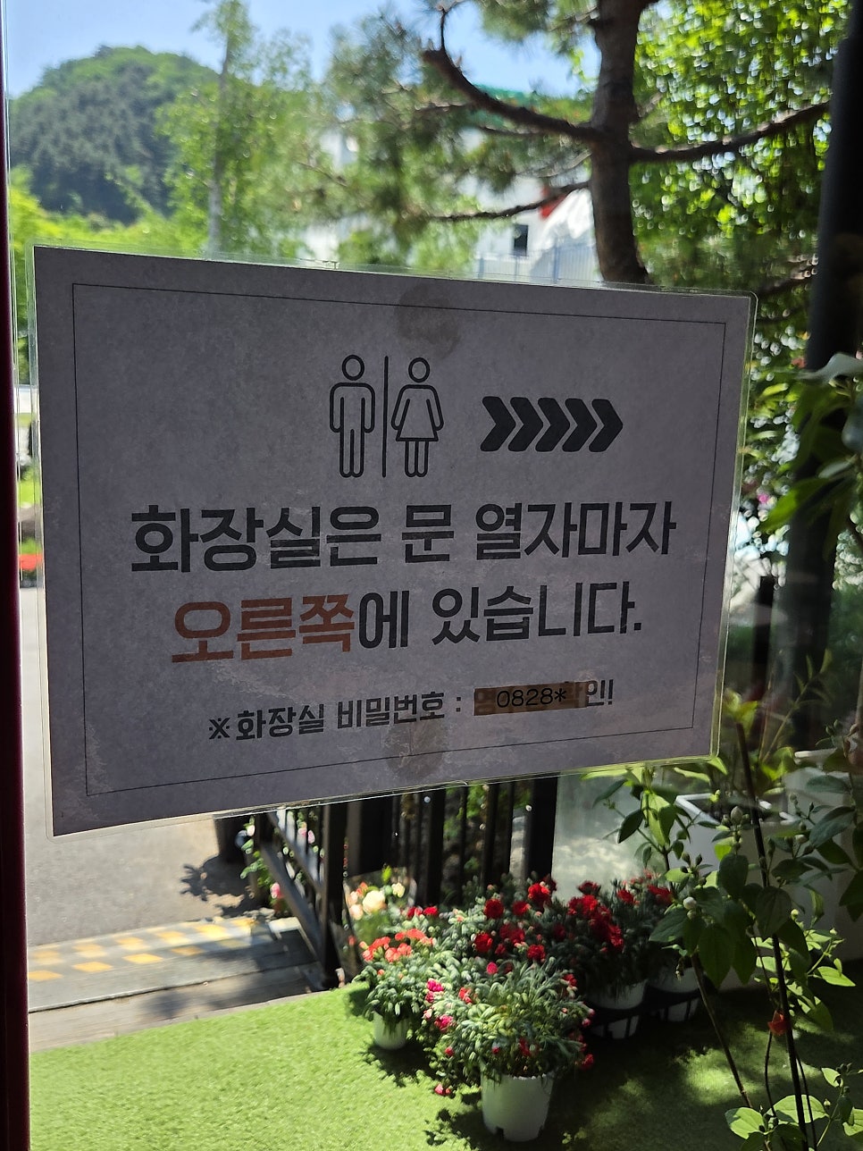 카페알보트 사진 5