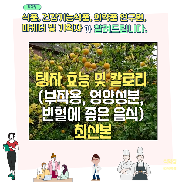탱자 효능 및 칼로리 (부작용, 영양성분, 빈혈 좋은 음식)